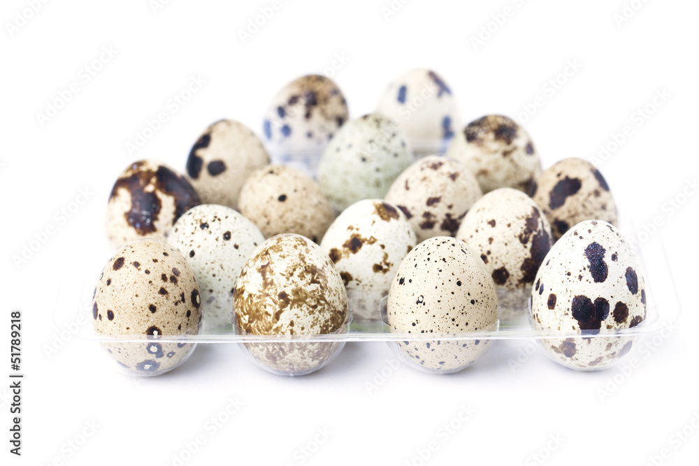 Obraz premium Quail eggs