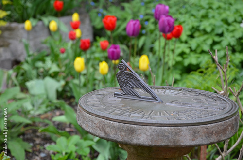 Fototapeta Naklejka Na Ścianę i Meble -  Sundial in tulip garden