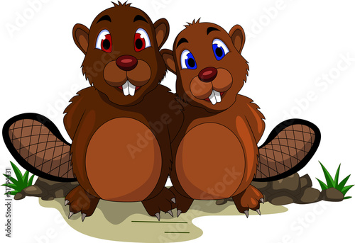 cute couple beaver cartoon