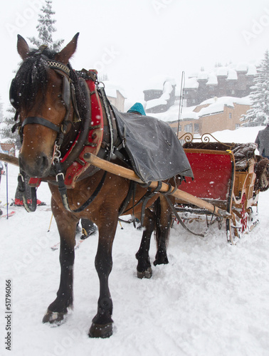 Winter transport