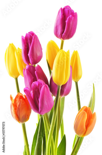 Fototapeta Naklejka Na Ścianę i Meble -  Bouquet of tulips on white background. Tulipa