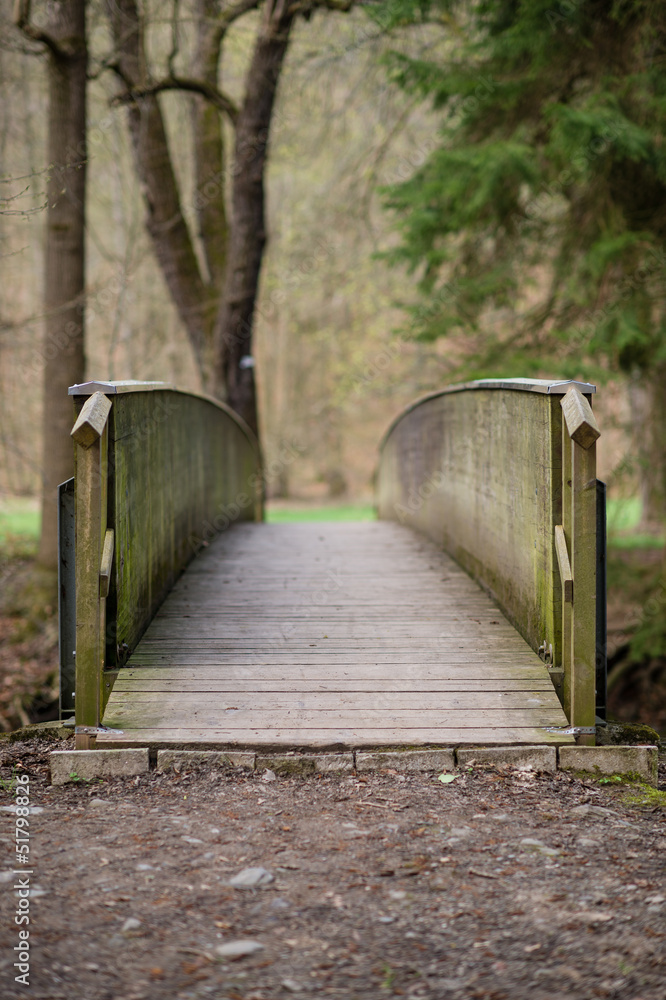 Obraz premium Frühling im Schwarzatal