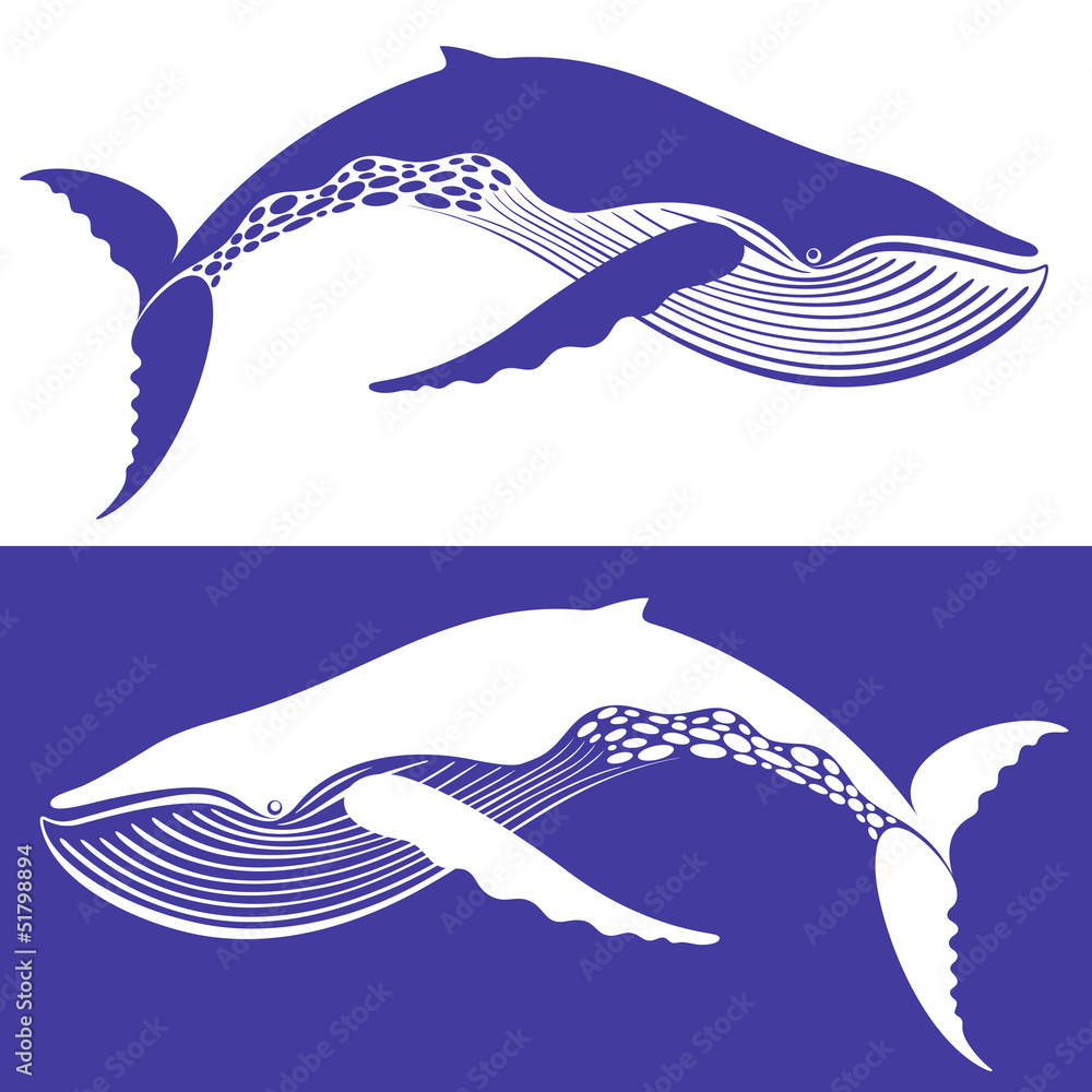 Naklejka premium Whale