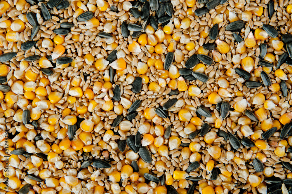 Mix corn, wheat, sunflower seeds Mix corn, wheat, sunflower seeds