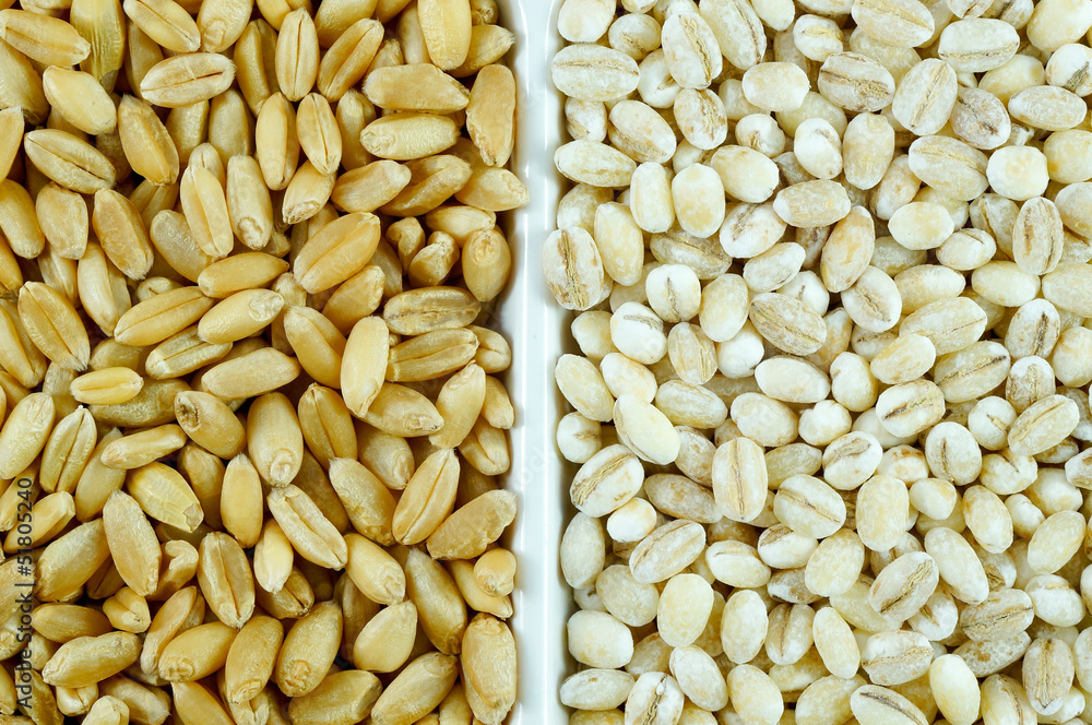 Grains of wheat with Barley background.. Grains of wheat with Barley background..
