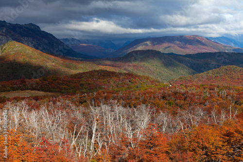 Autumn landscape in the mountains of Patagonia photo