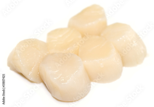 Fotografia Heap of raw scallops isolated on white