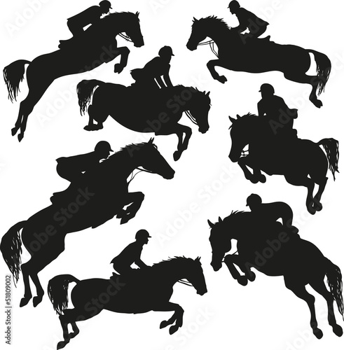 Showjumping vector