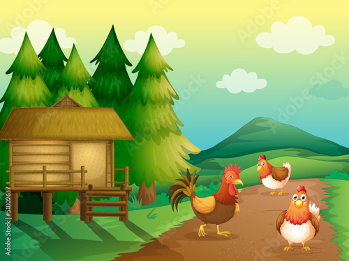 A farm with chickens and a native house