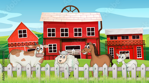 Animals inside the fence