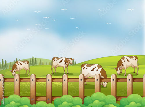 A farm with cows