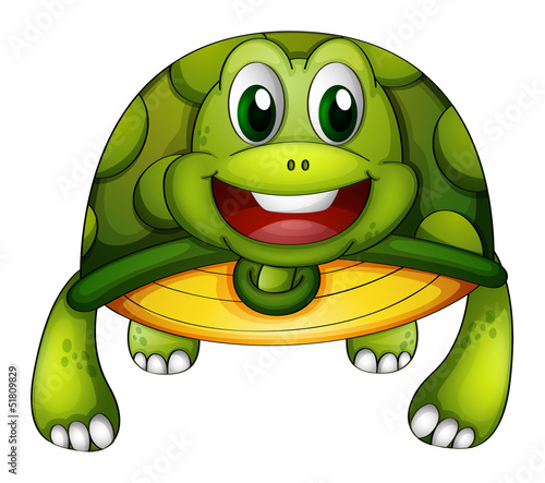 A green turtle