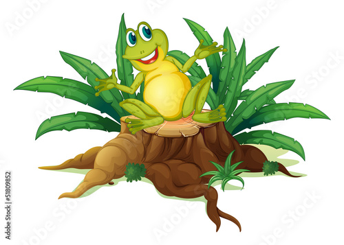 Fototapeta Naklejka Na Ścianę i Meble -  A smiling frog above a wood