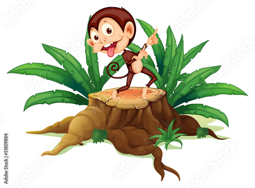 A monkey dancing above the trunk