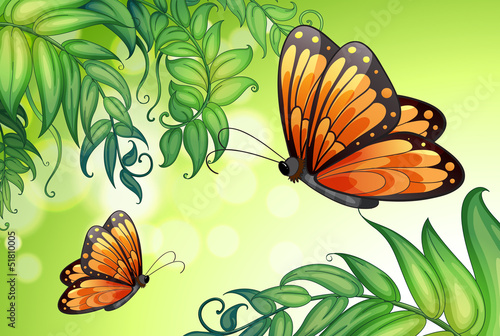 A design with butterflies and plants