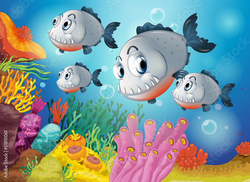 Four gray fishes under the sea
