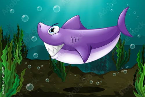 A big shark under the sea