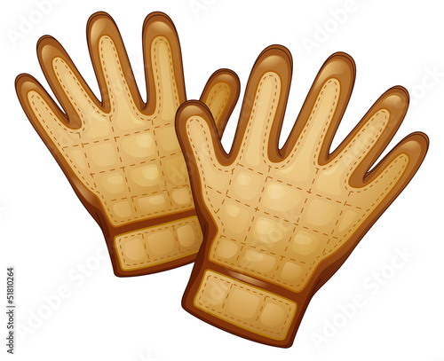 A pair of leather gloves