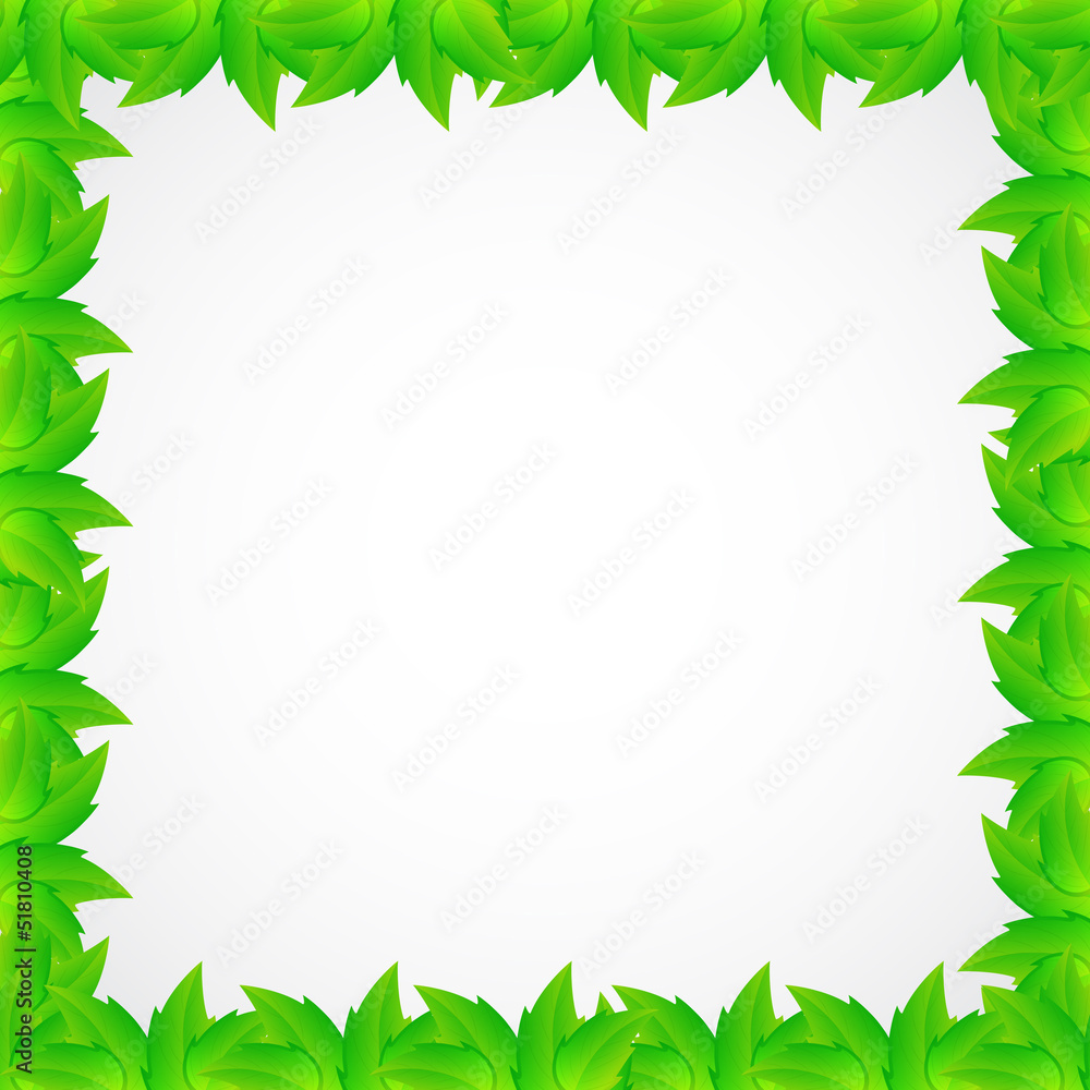 Fototapeta premium Leaves background