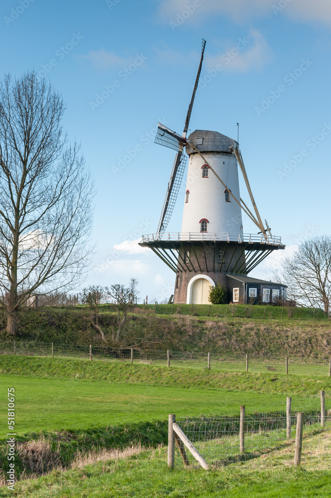 White windmill on top of the dike White windmill on top of the dike