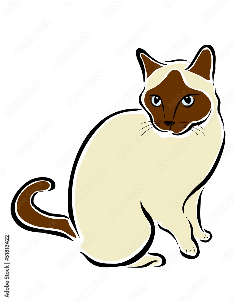 gato siames gato siames