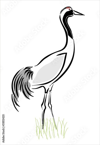 grulla en el campo