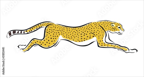 guepardo corriendo