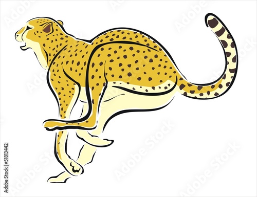 guepardo corriendo 2