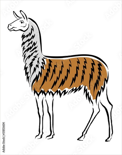 llama