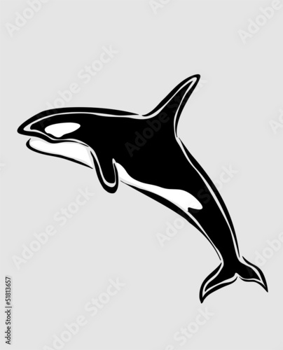 orca