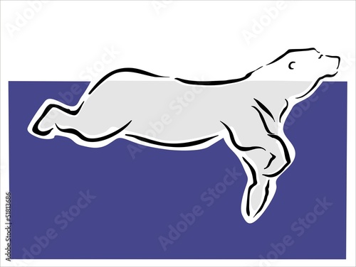 oso polar nadando