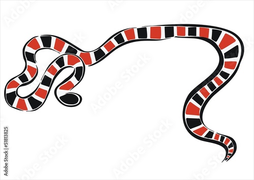 serpiente coral