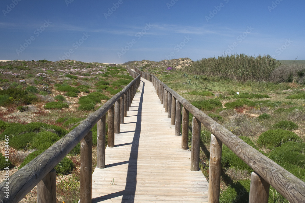 Wooden walkway leading to Bordeira Beach, Algarve,  Portugal