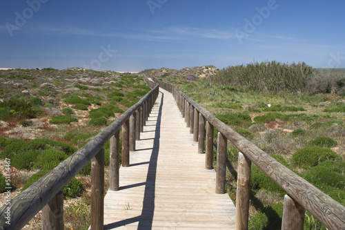 Wooden walkway leading to Bordeira Beach  Algarve   Portugal