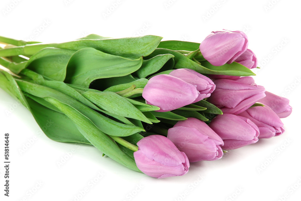 Beautiful bouquet of purple tulips, isolated on white Beautiful bouquet of purple tulips, isolated on white