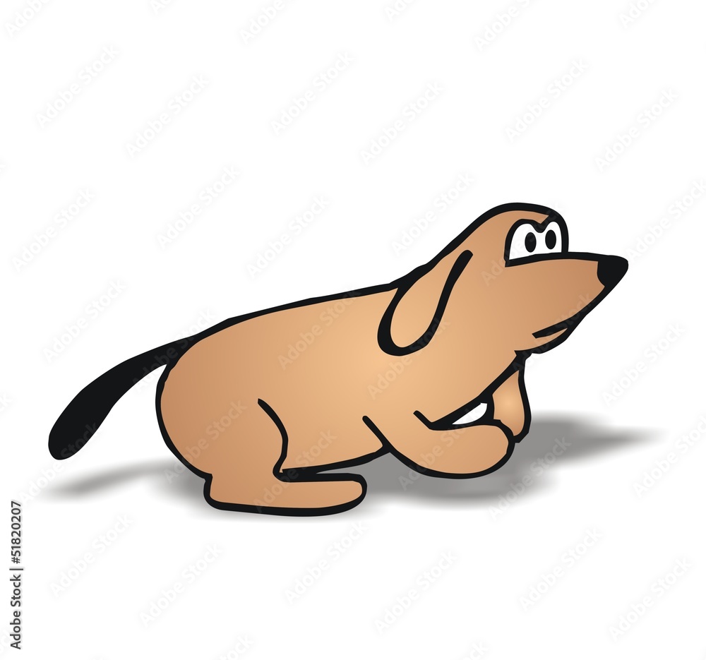 Obraz premium dog