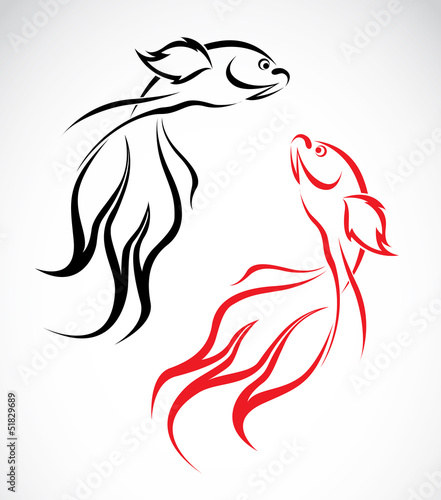 Vector image of an goldfish on white background