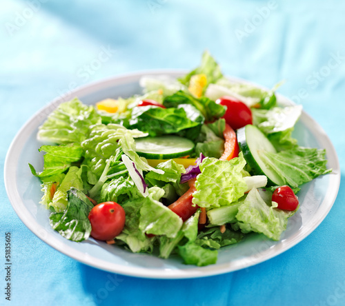 garden salad with fresh vegetables on blue table cloth