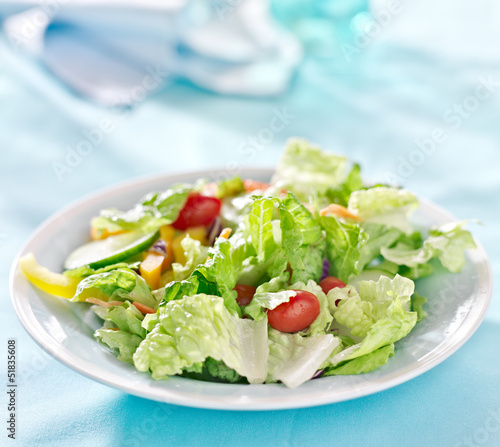 garden salad with fresh vegetables with copy space composition