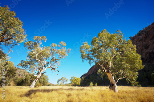 Australian Outback Landscape photo