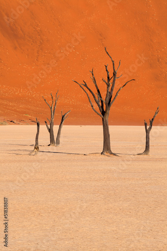 Dead trees in Dead Vlei, Namibia