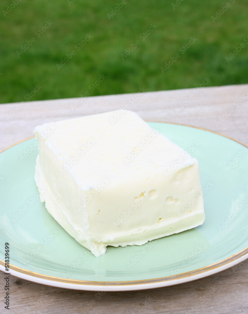 tome fraiche au lait cru ,fromage de l'aubrac