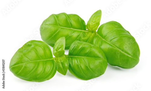 Fresh basil leaves