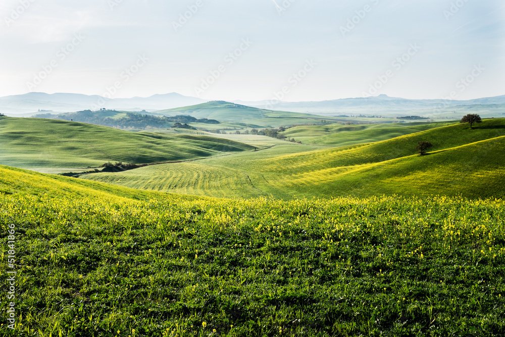 Early morning on countryside in Tuscany