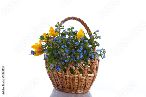 bouquet of early spring flowers