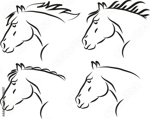 Four types of horses