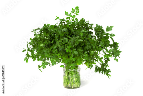 Bunch of Parsley