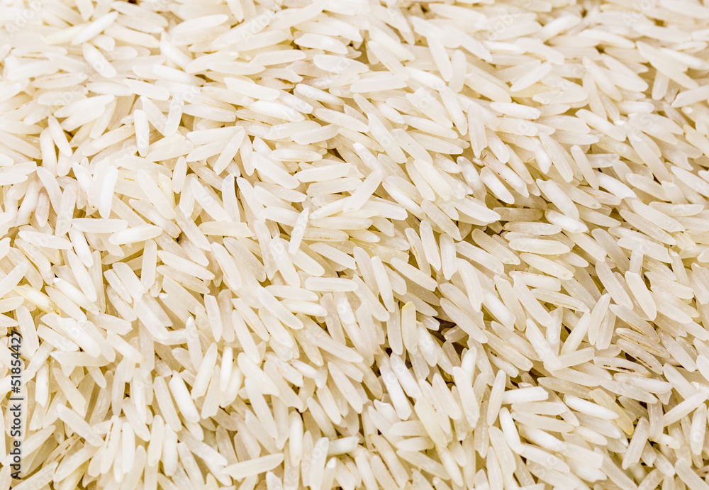 Rice grain close up