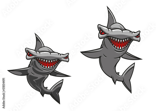 Hammer fish shark