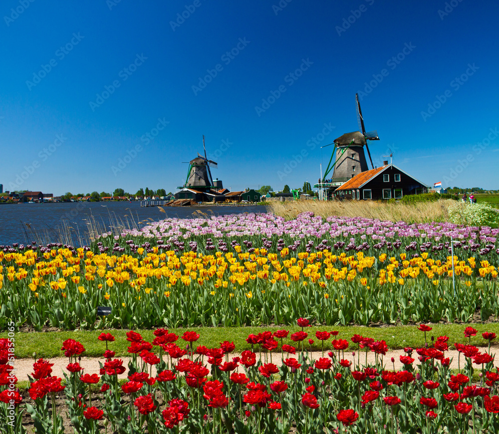 windmill in holland